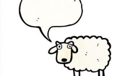 动漫羊,羊的奇幻冒险之旅